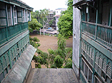 The Back Gardens